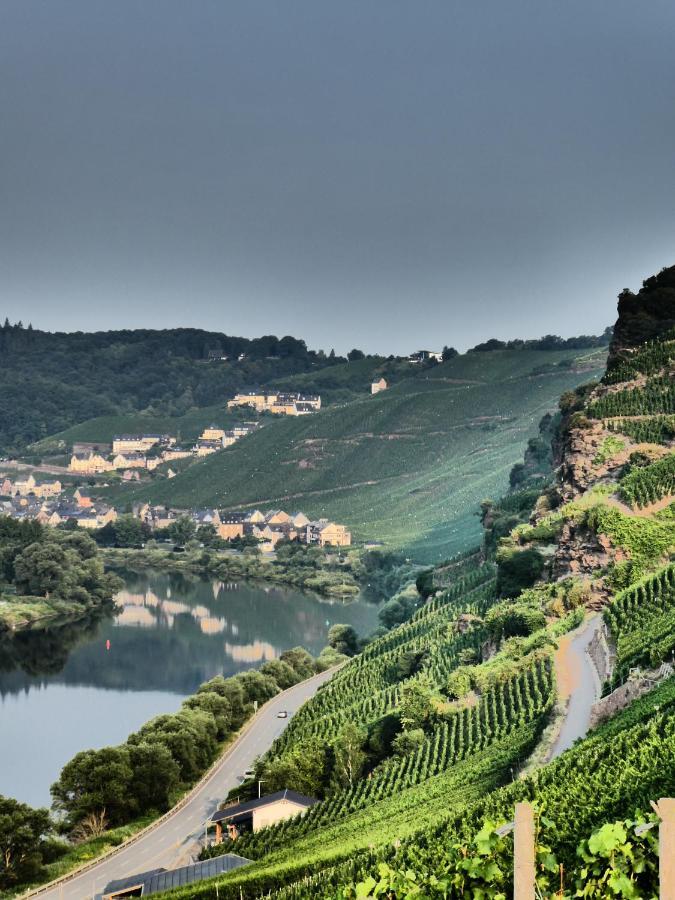 Apartmán Mosel Palais Ürzig Exteriér fotografie
