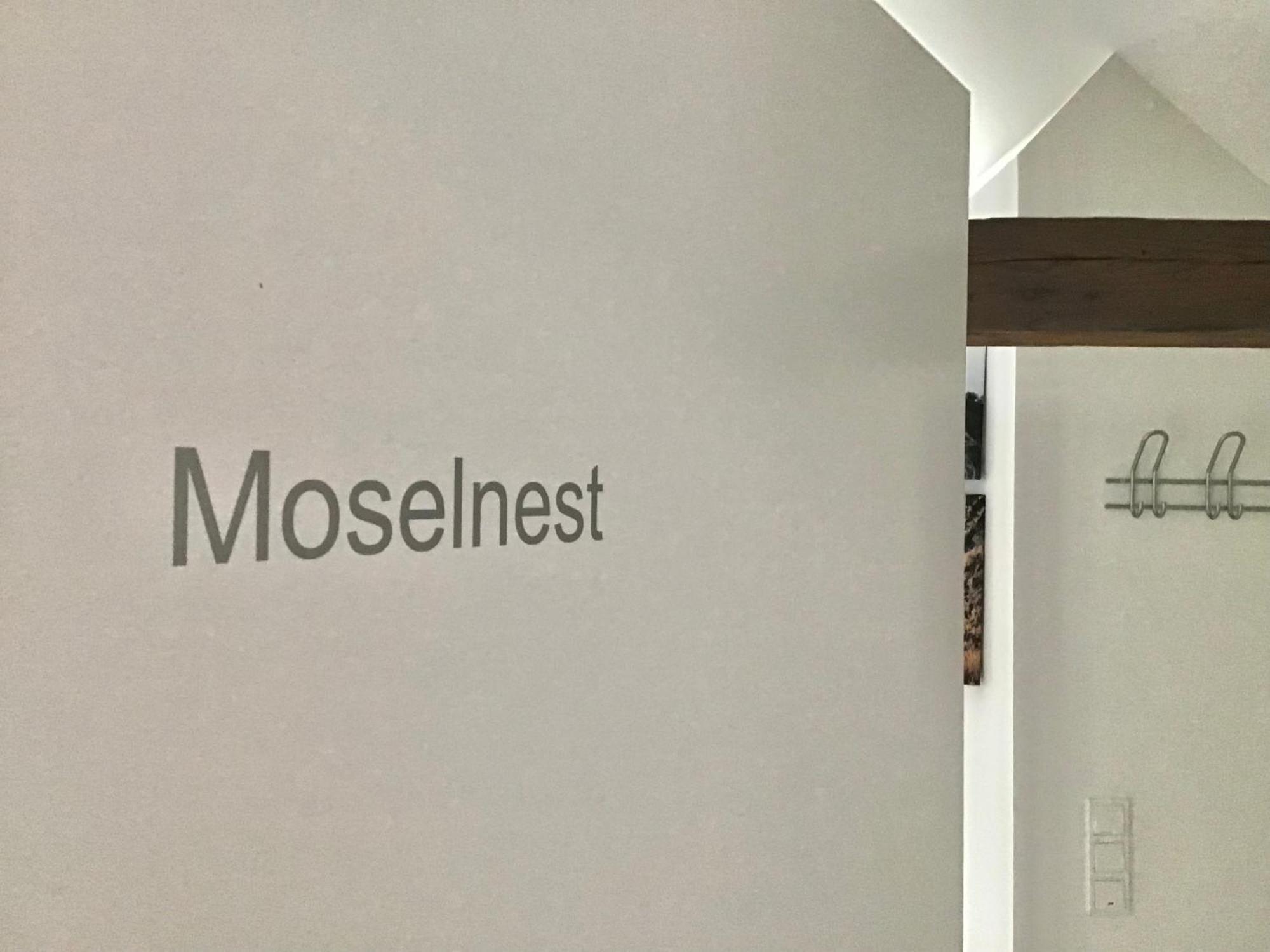 Apartmán Mosel Palais Ürzig Pokoj fotografie